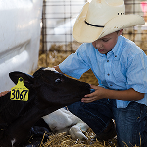 Young boy wearing cowboy hat with calf